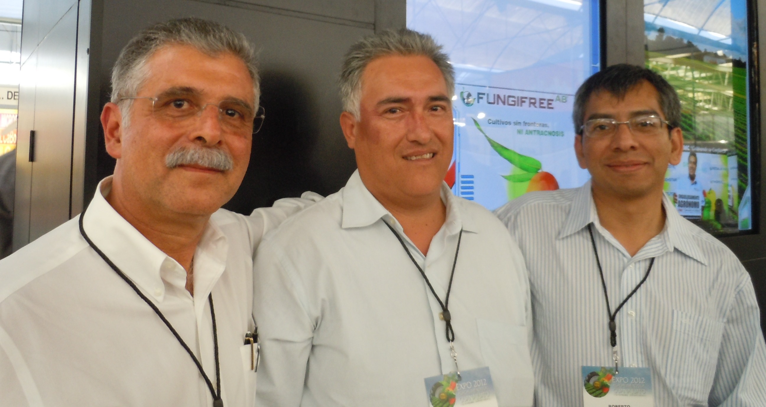 Galindo,Serrano,Gutiérrez(F)