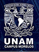 Escudo UNAM Bases2 copia