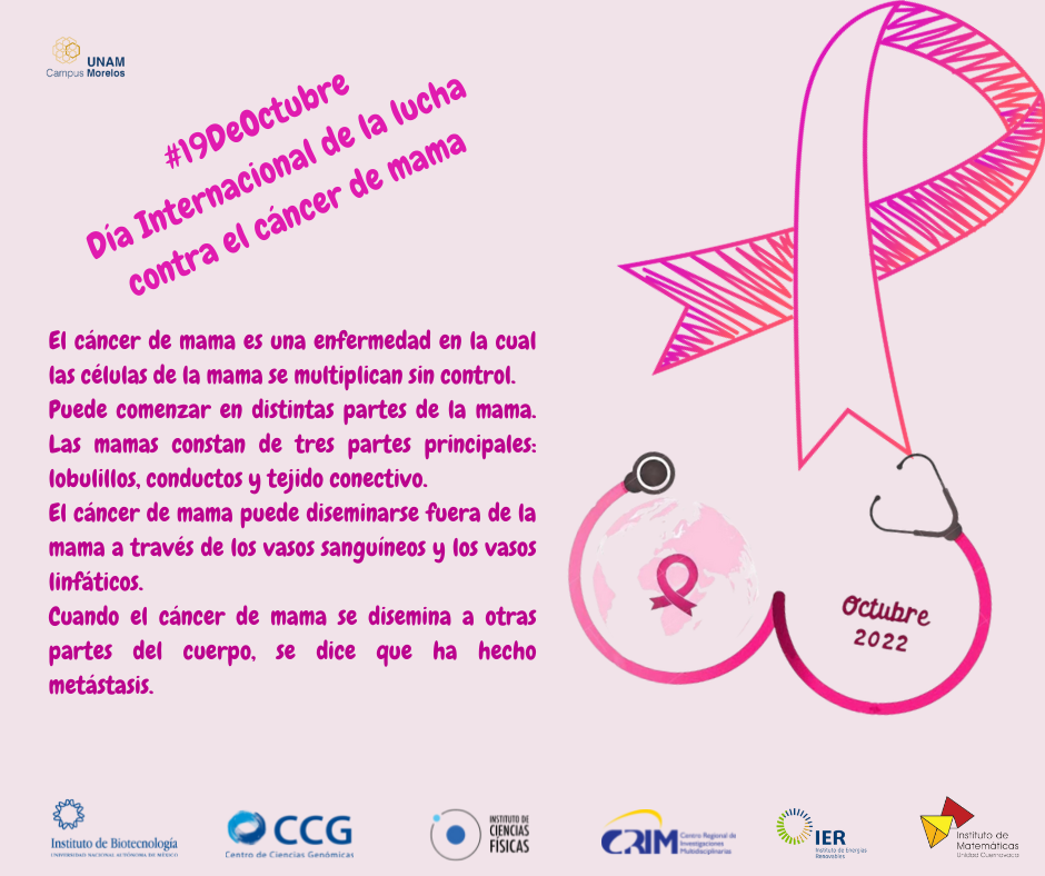 #19DeOctubre Día Internacional de la lucha contra el cáncer de mama (1)