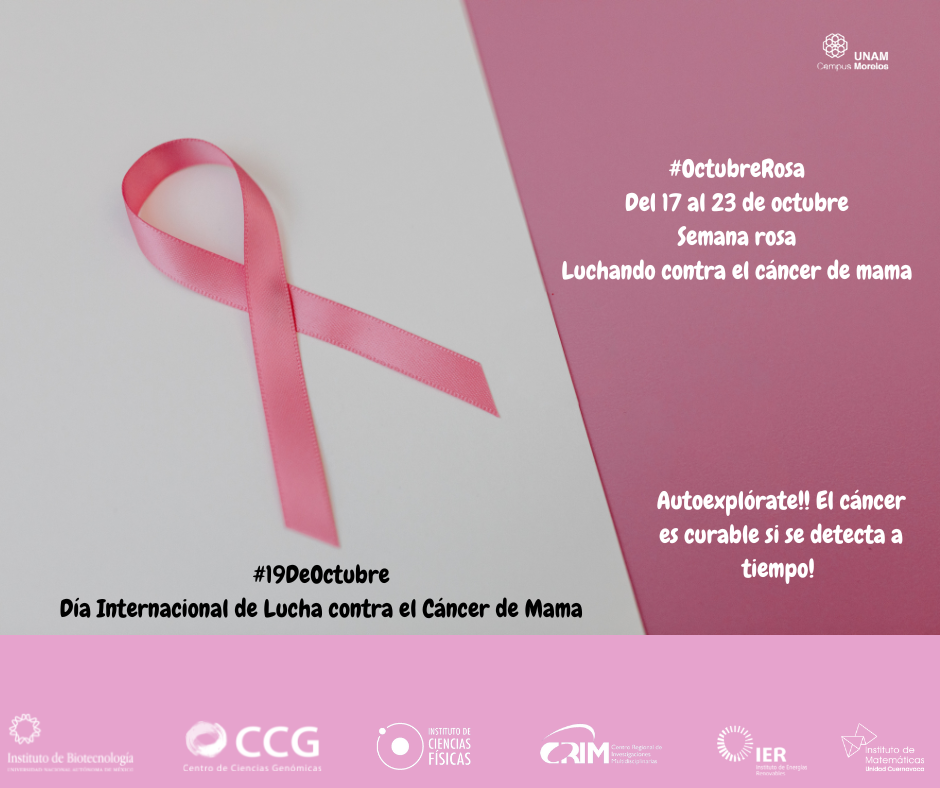 #OctubreRosa Del 17 al 23 de octubre Semana rosa Luchando contra el cáncer de mama (1)